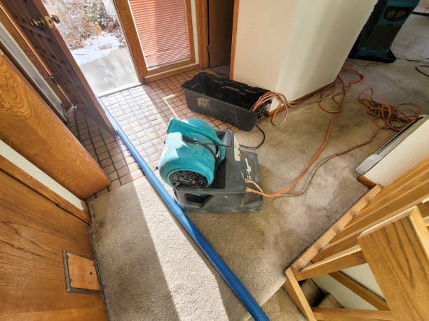 Best 24-hour water damage restoration  in Roseland, FL