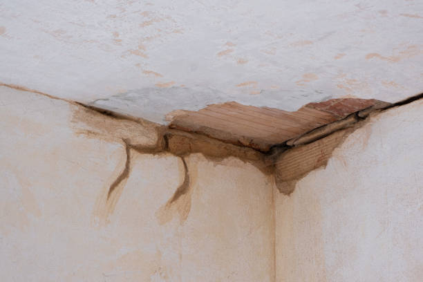 Best Residential water damage restoration  in Roseland, FL