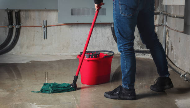 Best Water damage restoration near me  in Roseland, FL