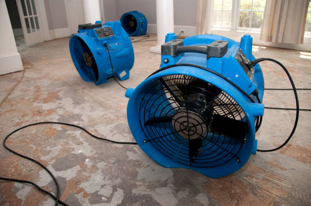 Best Local water damage restoration  in Roseland, FL