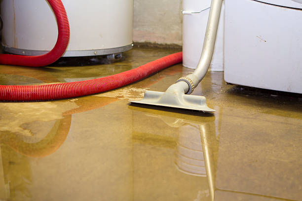 Best Professional water damage repair  in Roseland, FL