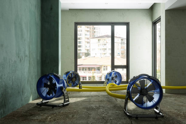 Best Emergency water damage restoration  in Roseland, FL